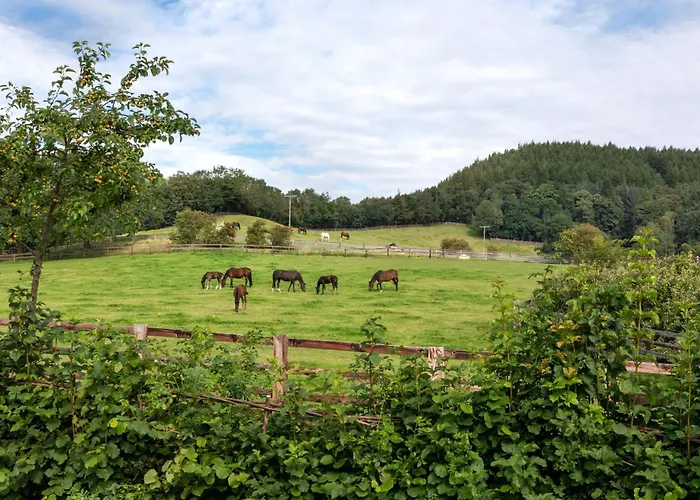 Country house West Acre *